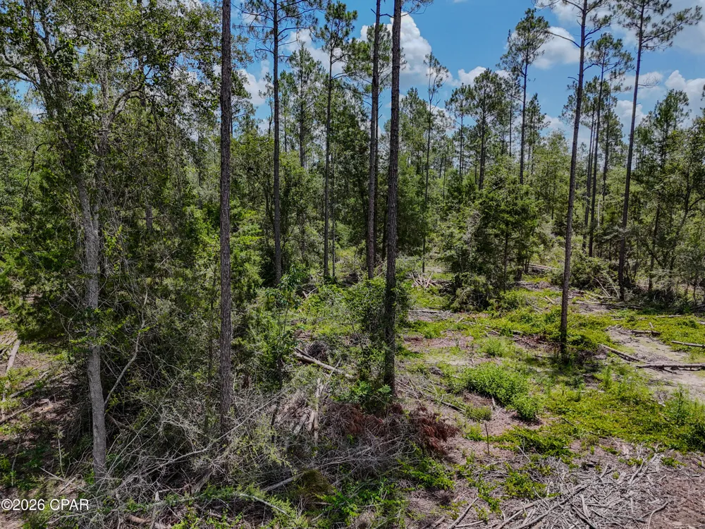 Wells Road Bonifay, FL 32425