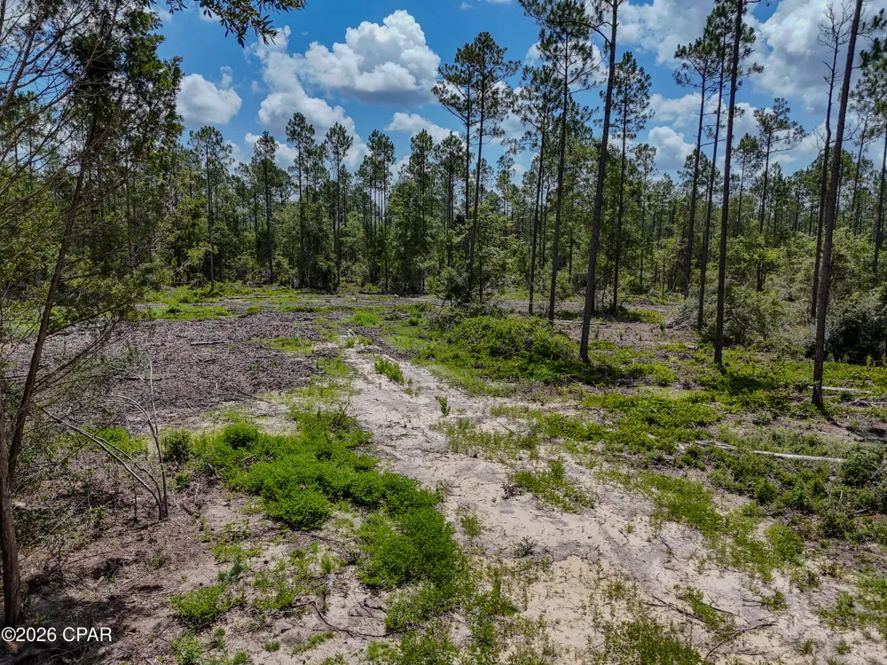 Wells Road Bonifay, FL 32425