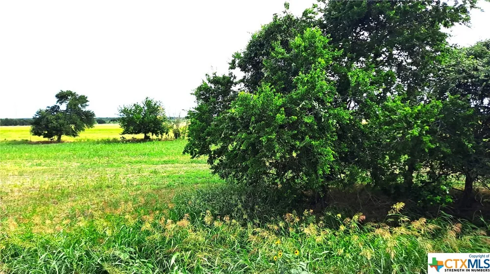 3 County Road 432 Thorndale, TX 76567