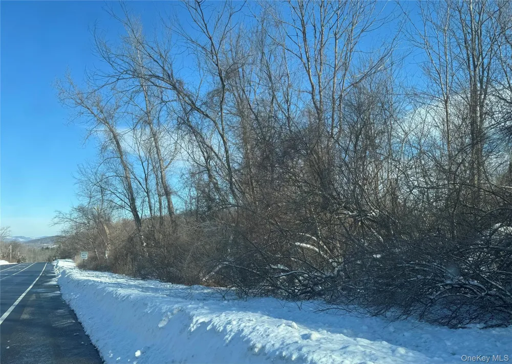 2310 Route 22 Patterson, NY 12563
