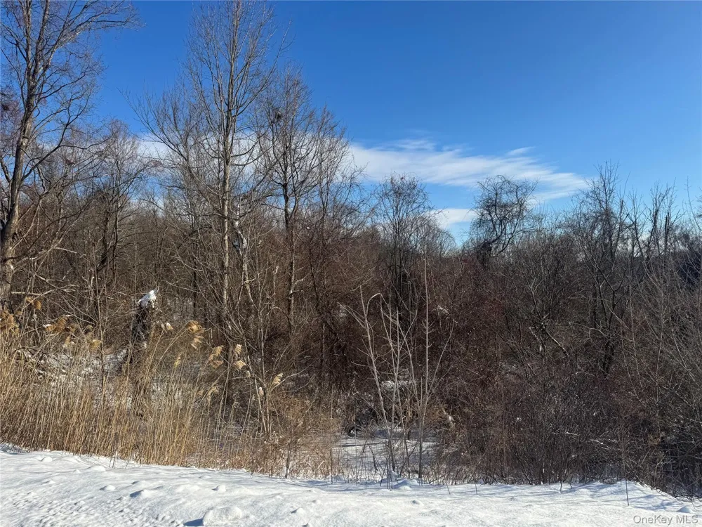 2310 Route 22 Patterson, NY 12563