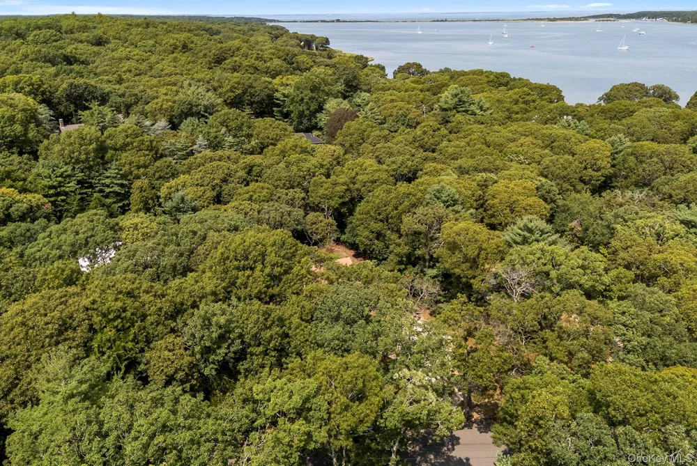 7 Albertines Lane East Hampton, NY 11937