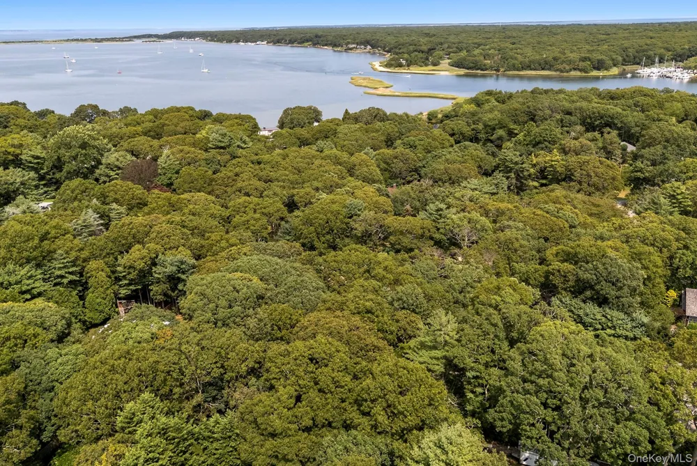 7 Albertines Lane East Hampton, NY 11937
