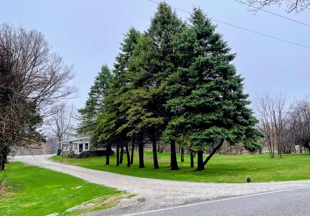 2311 E Glendora Road Buchanan Township, MI 49107