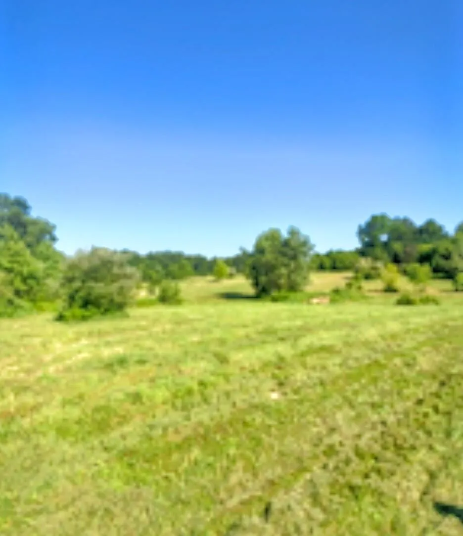 2311 E Glendora Road Buchanan Township, MI 49107