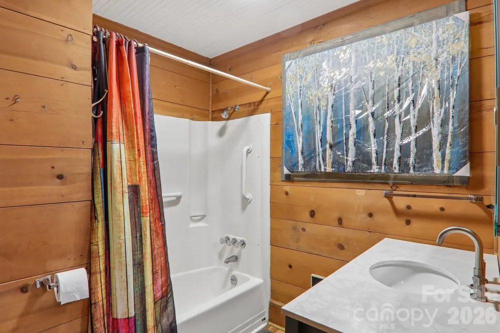 61 Bo Diddly Lane Cedar Mountain, NC 28718