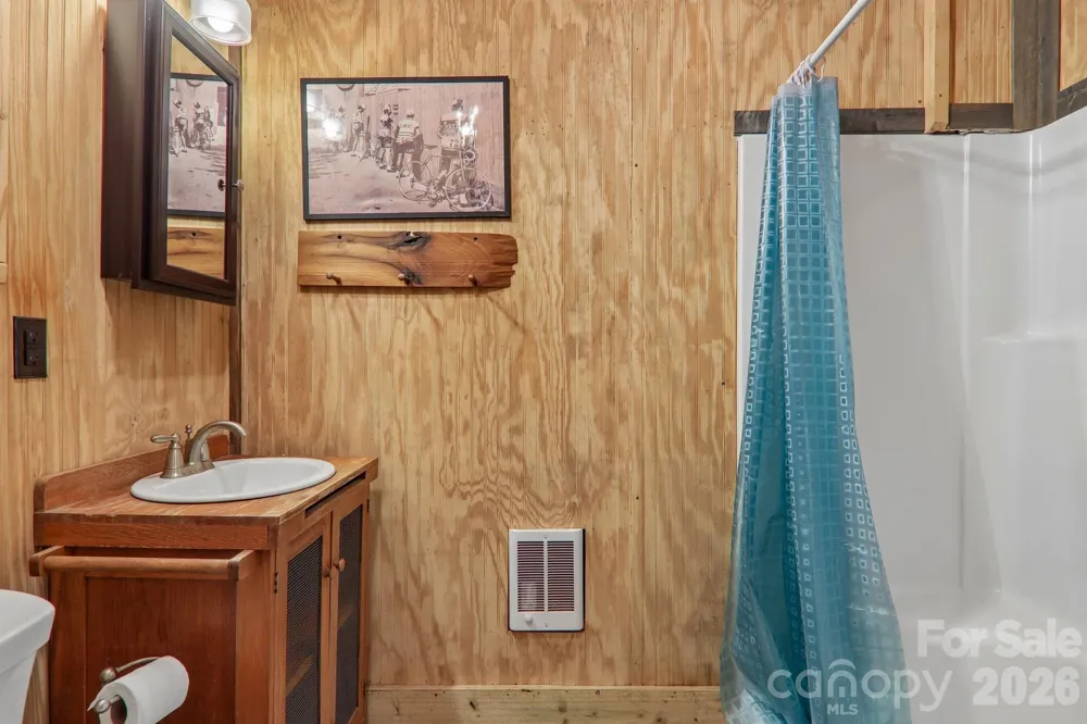 61 Bo Diddly Lane Cedar Mountain, NC 28718