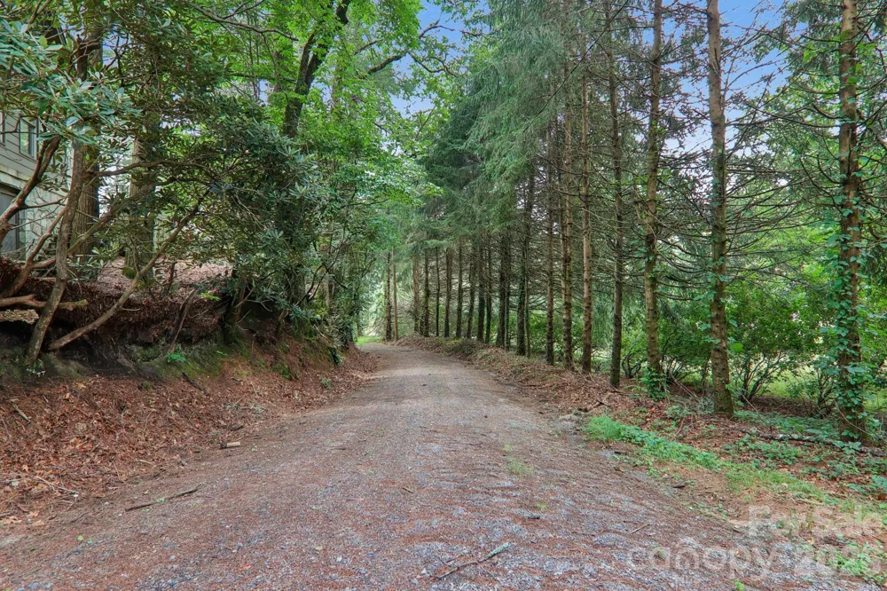 61 Bo Diddly Lane Cedar Mountain, NC 28718