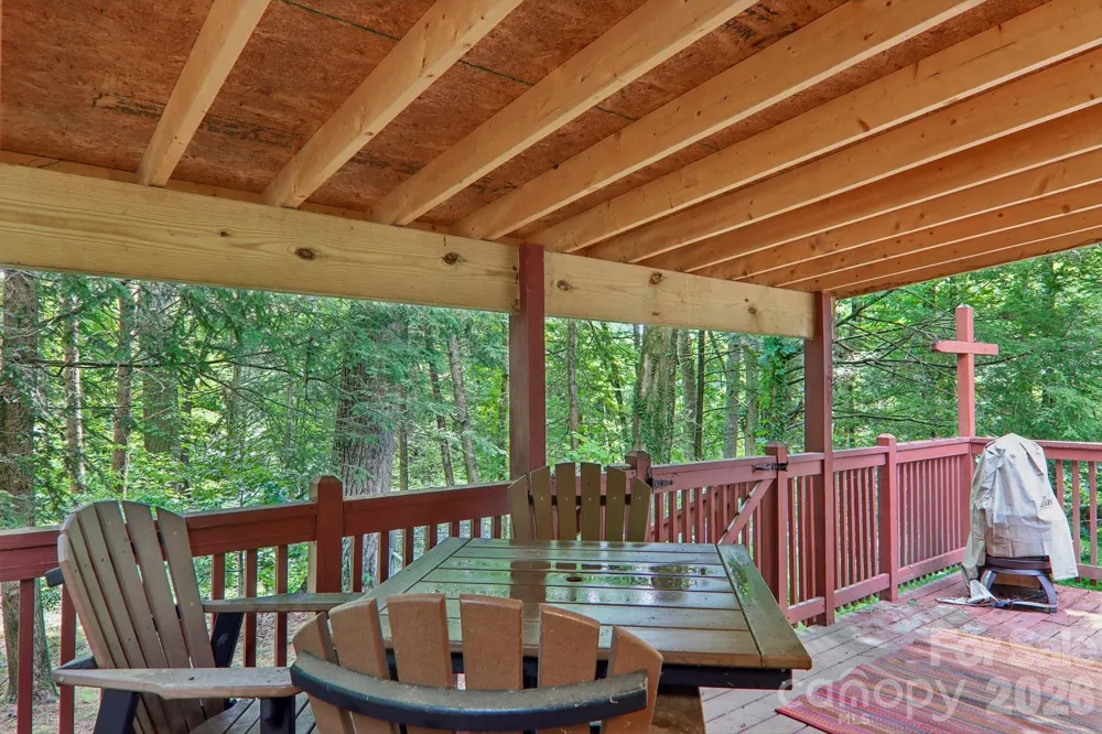 61 Bo Diddly Lane Cedar Mountain, NC 28718