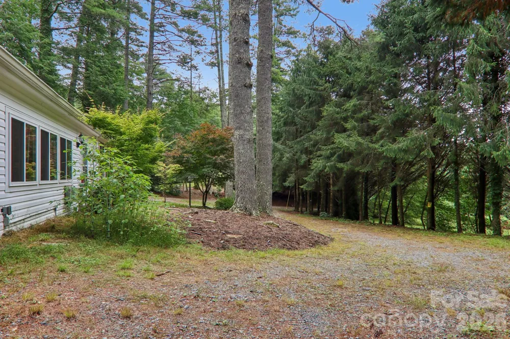 61 Bo Diddly Lane Cedar Mountain, NC 28718