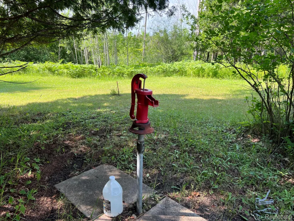 3425 Rushton Road Central Lake Township, MI 49622