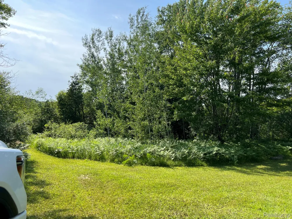3425 Rushton Road Central Lake Township, MI 49622