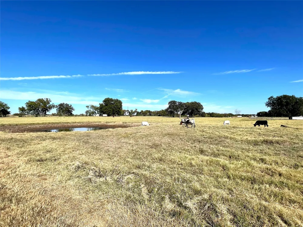 432 William Brewer Road Collinsville, TX 76721