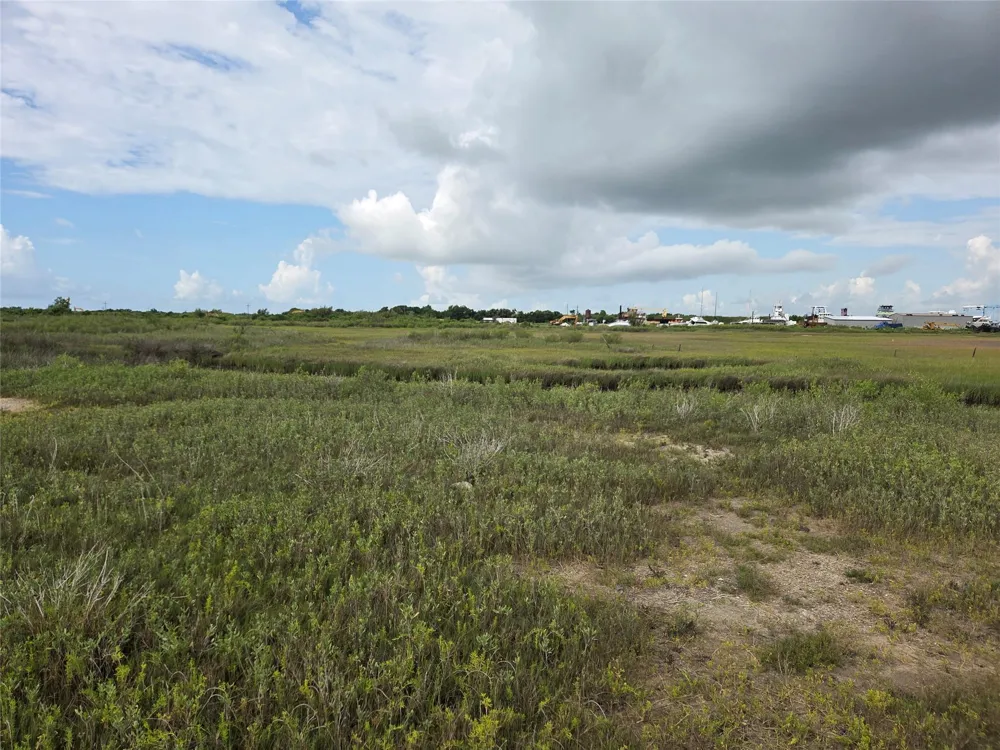 1419 Martinique Lane Port Bolivar, TX 77650