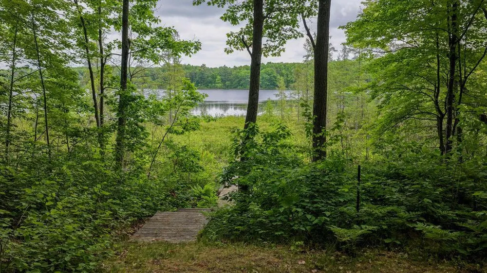 15506 W Holly Lake Lane Stone Lake, WI 54876