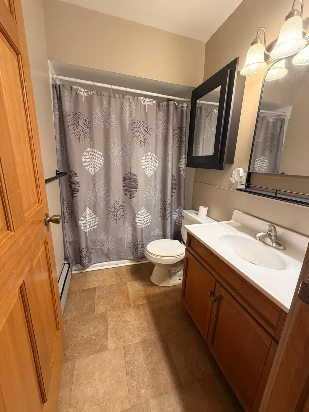 309 Pleasant Street NE Preston, MN 55965