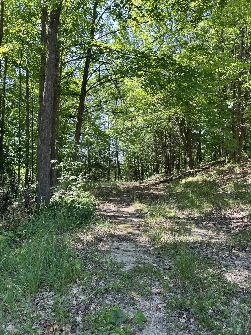 313 W Spruce Street E Big Rapids, MI 49307