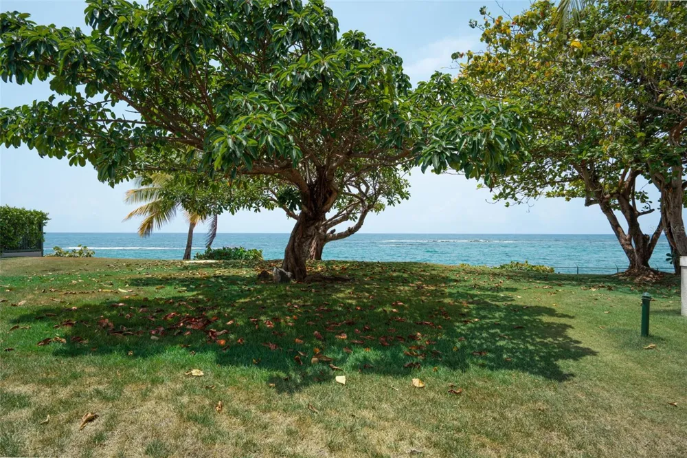30 CALLE ARENAS Dorado, PR 00646