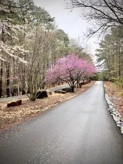 153 Fort Gibson Court Waleska, GA 30183