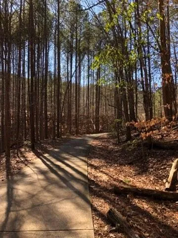 153 Fort Gibson Court Waleska, GA 30183