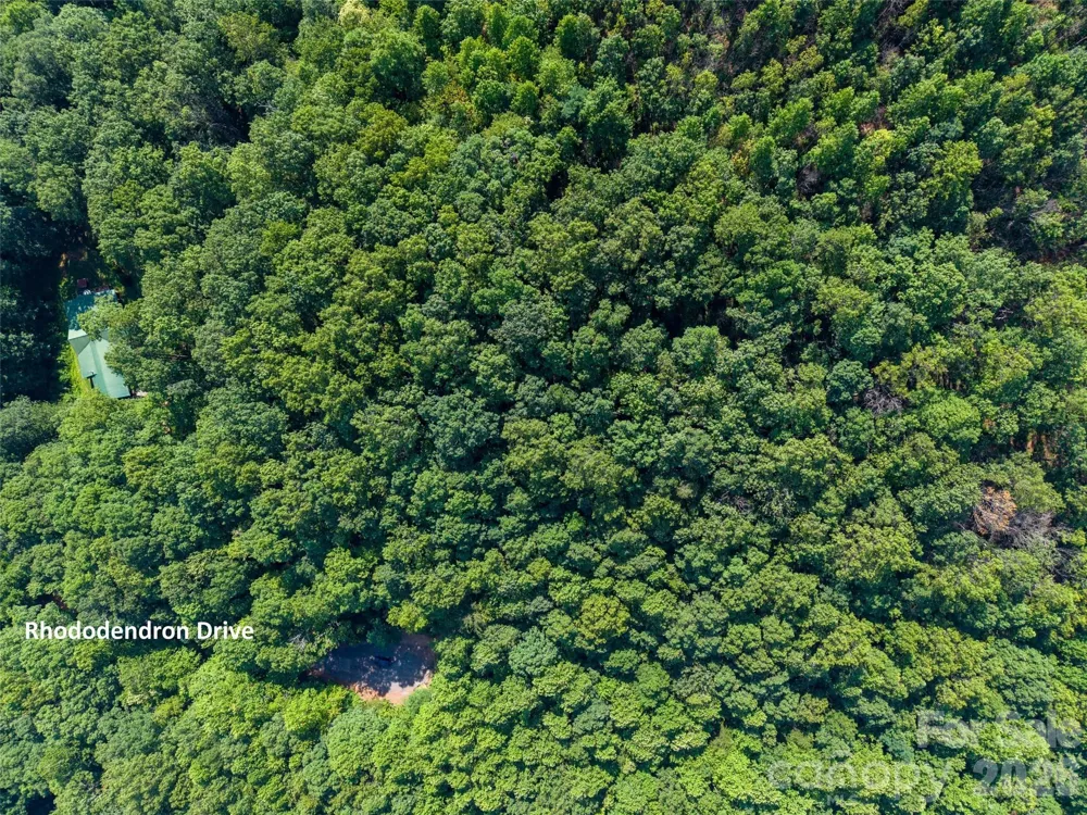 00 Rhododendron Drive #15 & 16 Saluda, NC 28773