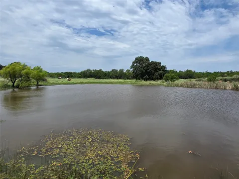 2251 Fm 585