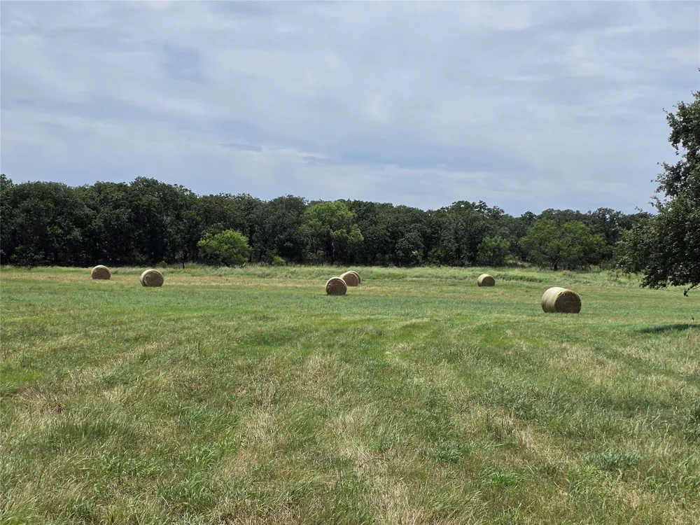 2251 Fm 585 Bangs, TX 76823