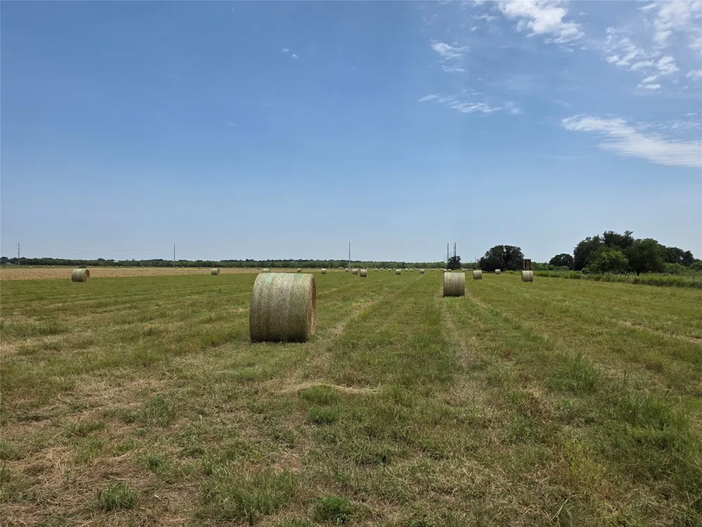 2251 Fm 585 Bangs, TX 76823