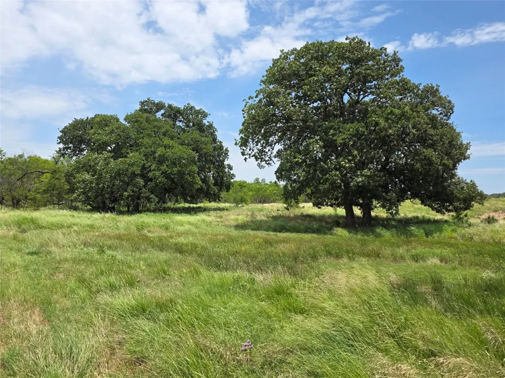 2251 Fm 585 Bangs, TX 76823