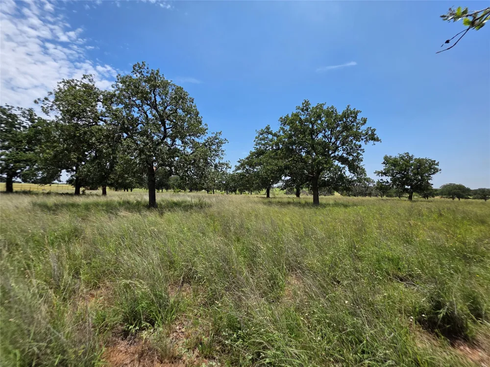 2251 Fm 585 Bangs, TX 76823