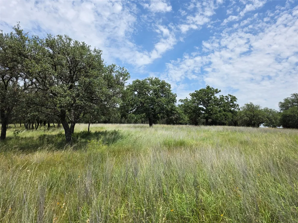 2251 Fm 585 Bangs, TX 76823