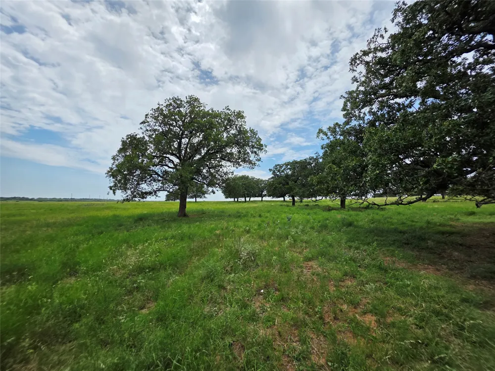 2251 Fm 585 Bangs, TX 76823