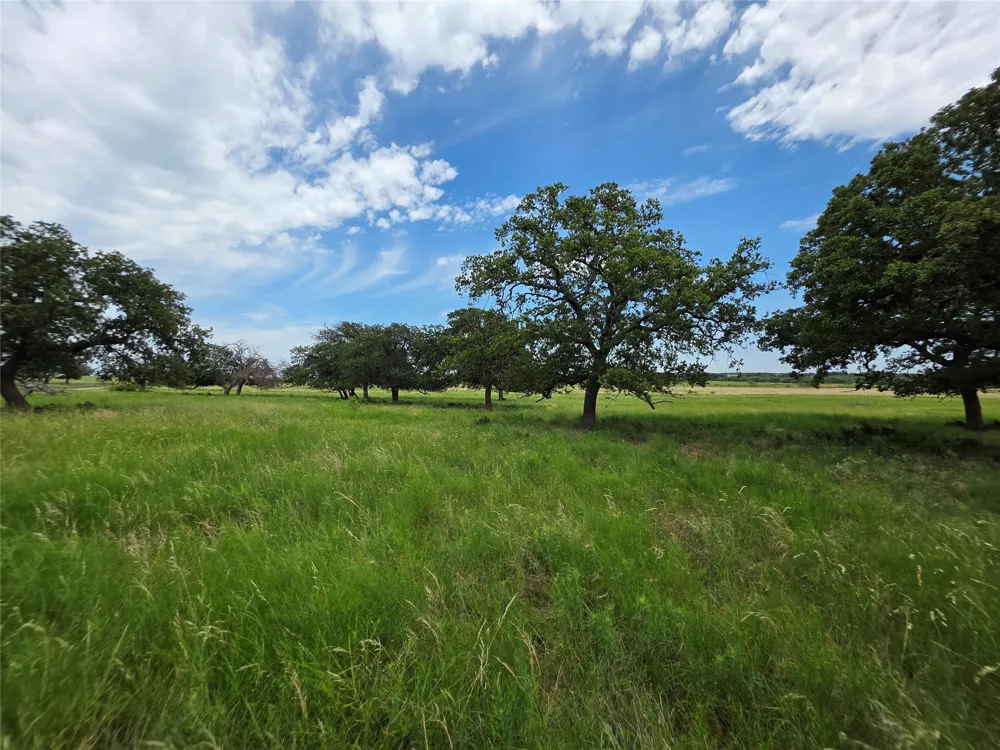 2251 Fm 585 Bangs, TX 76823