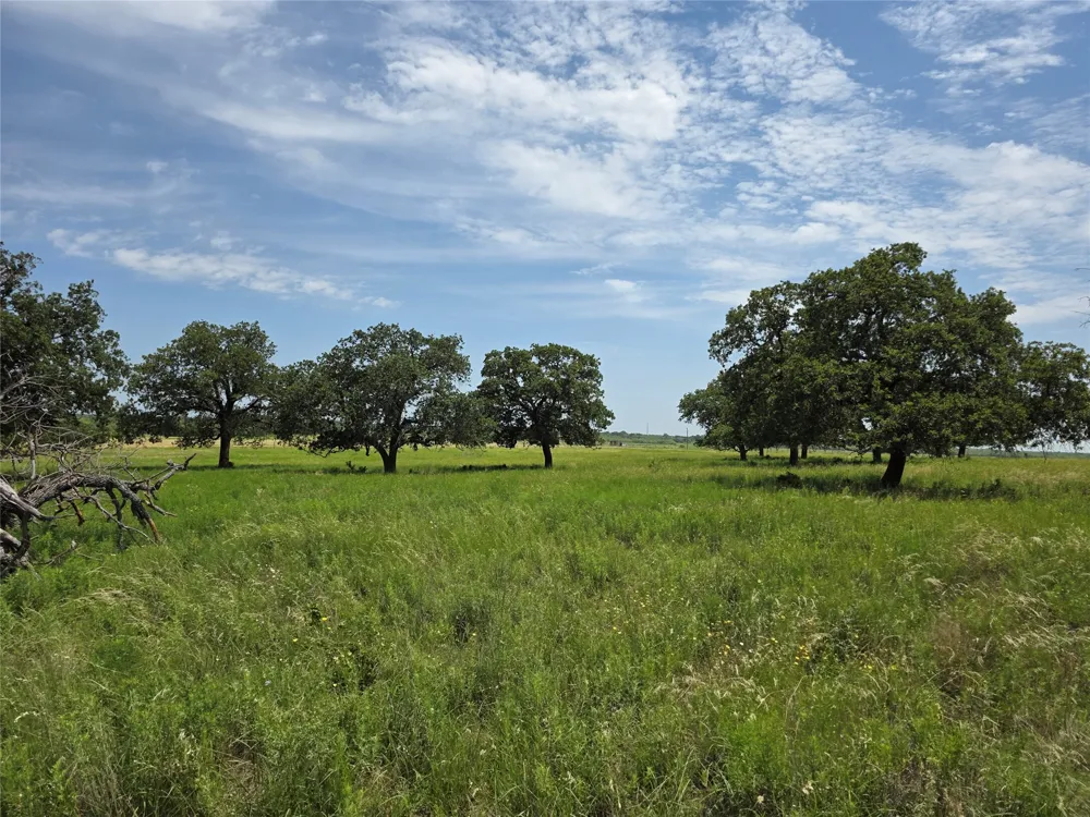 2251 Fm 585 Bangs, TX 76823