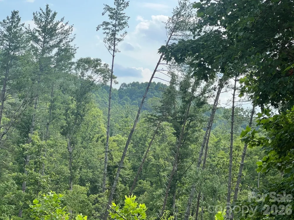 0 Gold Mine Road Morganton, NC 28655