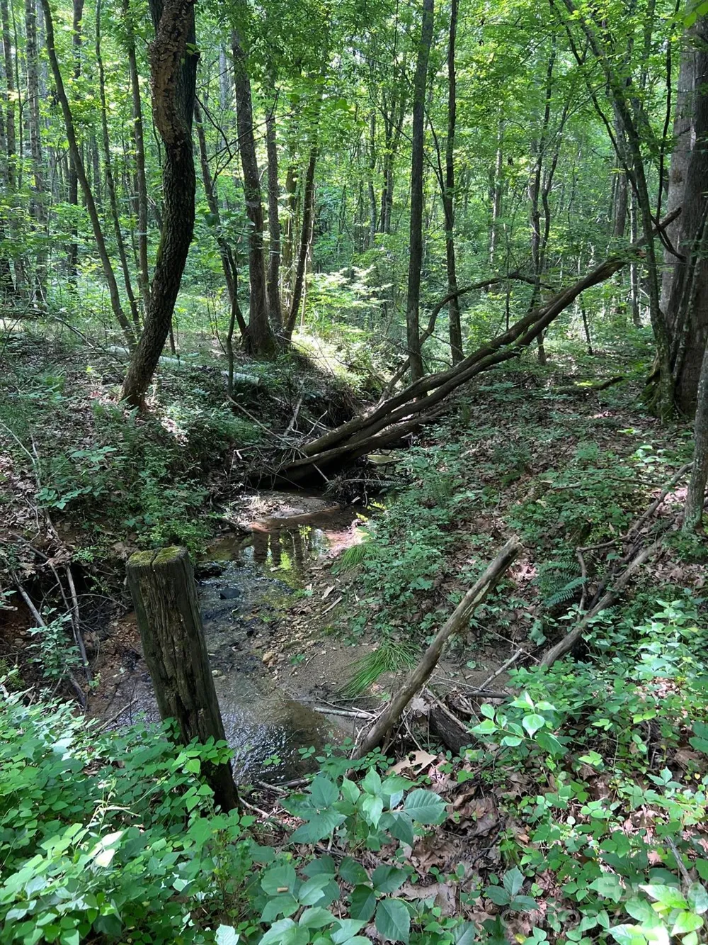 0 Gold Mine Road Morganton, NC 28655