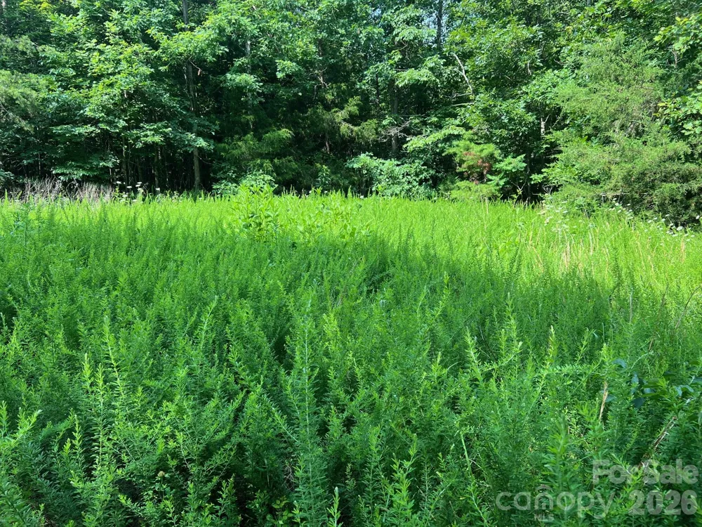 0 Gold Mine Road Morganton, NC 28655