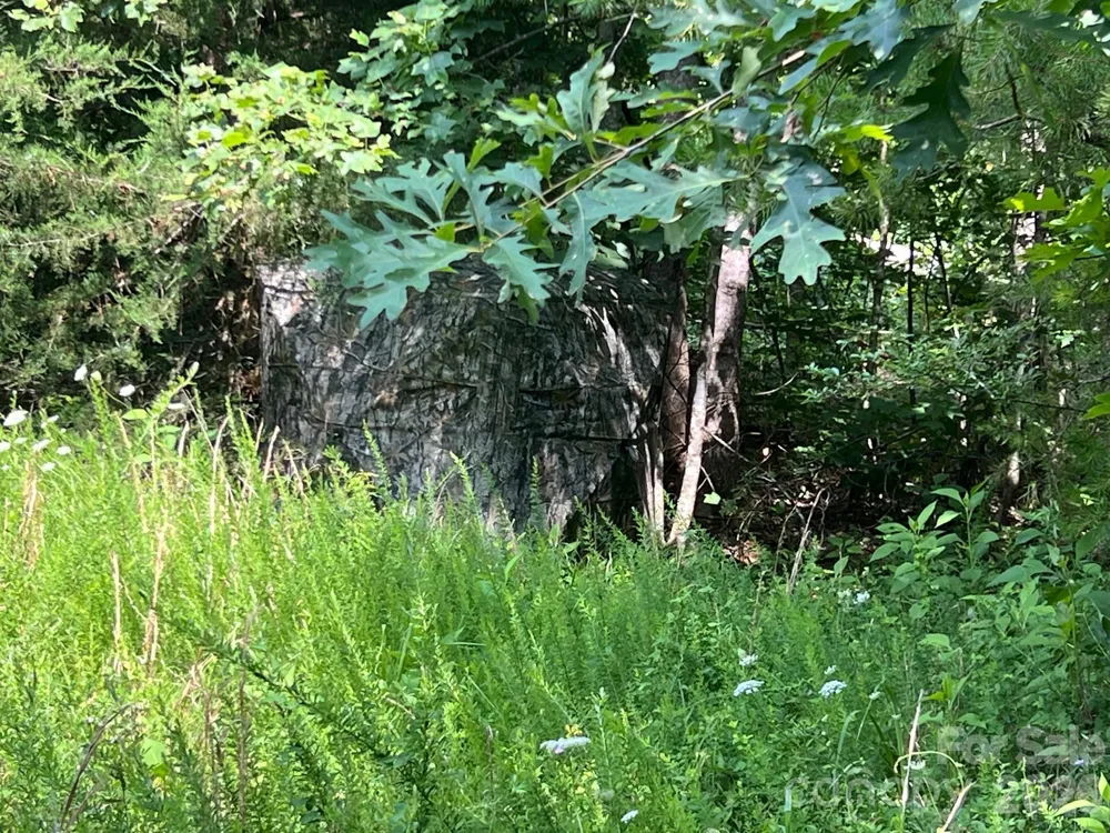 0 Gold Mine Road Morganton, NC 28655
