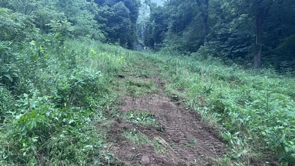 2627 Roy Dodson RD Columbia, TN 38401