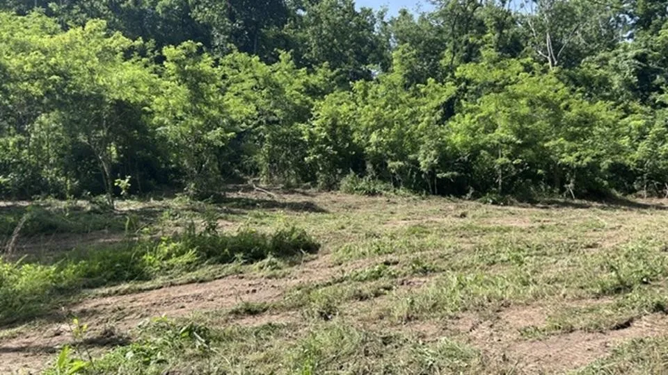 2627 Roy Dodson RD Columbia, TN 38401