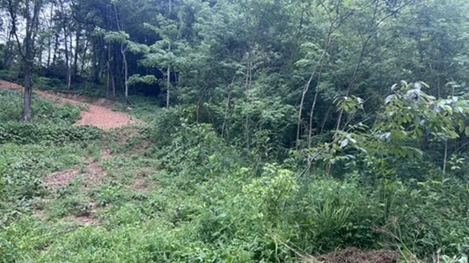 2627 Roy Dodson RD Columbia, TN 38401