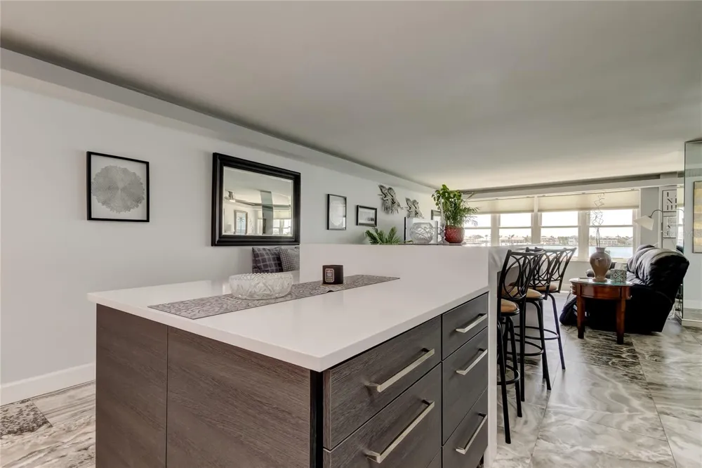 5200 BRITTANY DRIVE S #204 St Petersburg, FL 33715