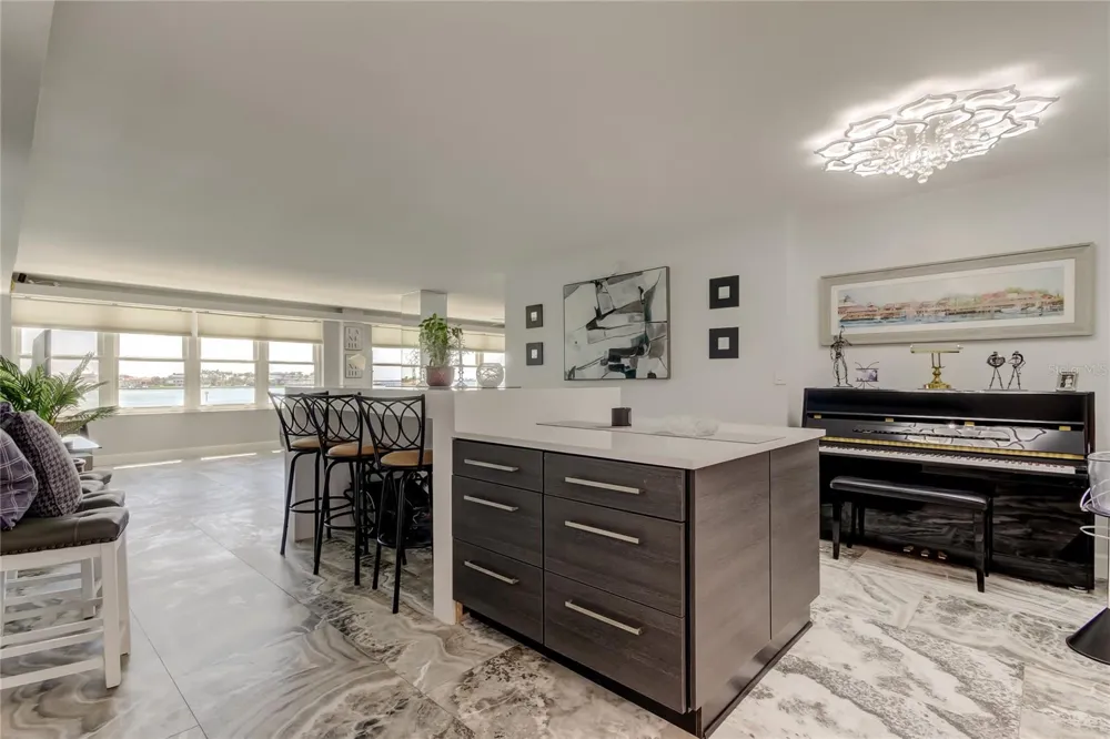 5200 BRITTANY DRIVE S #204 St Petersburg, FL 33715