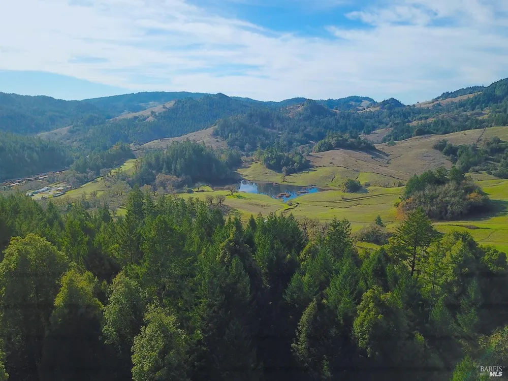 1450 Ca-20 Willits, CA 95490