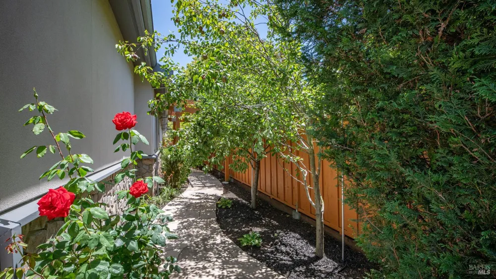 21 Eye Street San Rafael, CA 94901
