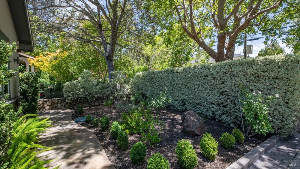 21 Eye Street San Rafael, CA 94901