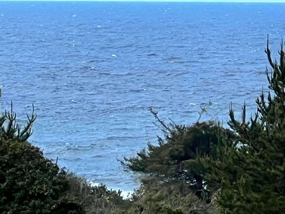 375 Spur Close The Sea Ranch, CA 95497