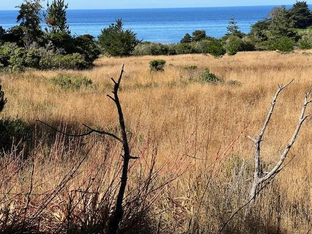 375 Spur Close The Sea Ranch, CA 95497