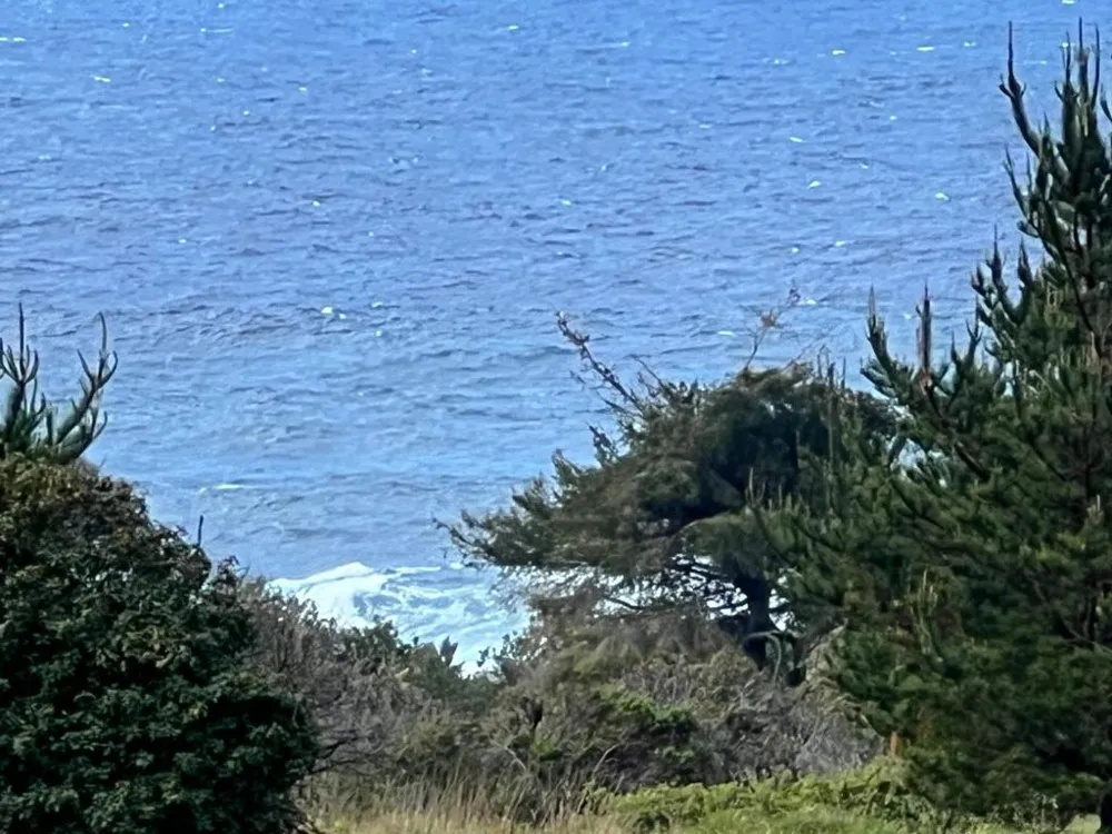 375 Spur Close The Sea Ranch, CA 95497