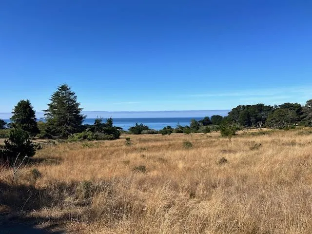 375 Spur Close The Sea Ranch, CA 95497